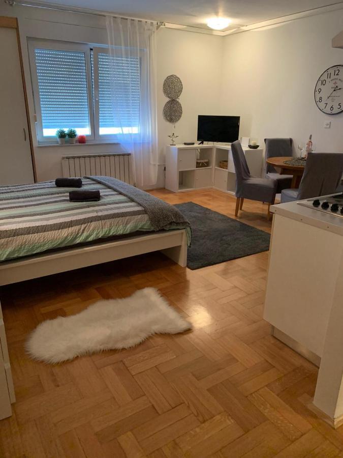 Sarmantni Apartman Malecka 2 Zágráb Kültér fotó